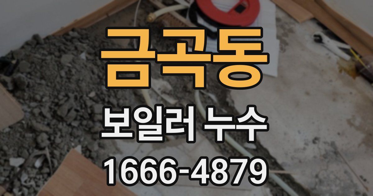 금곡동 보일러 누수
