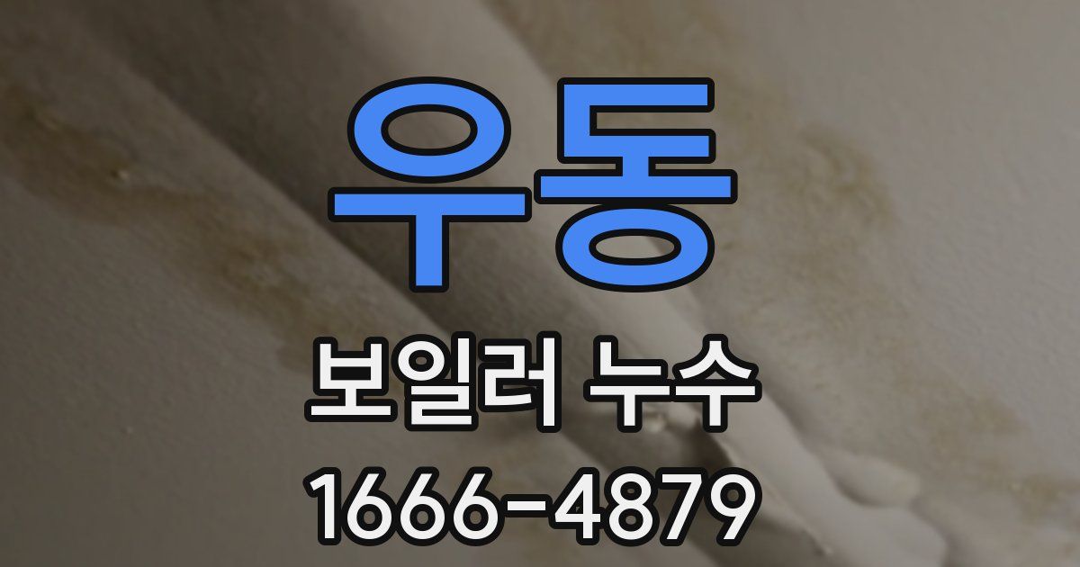 우동 보일러 누수