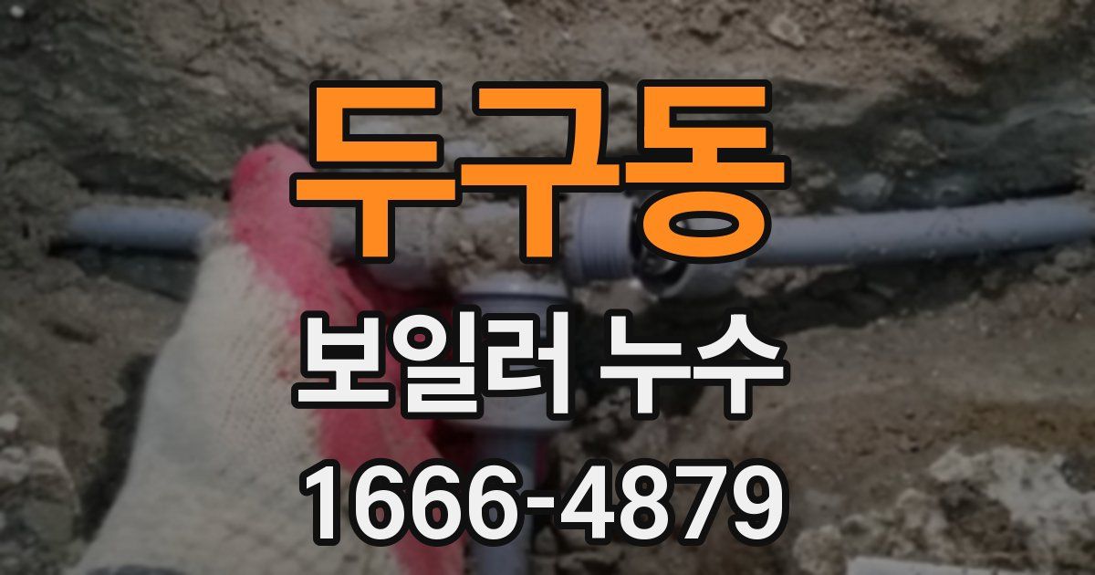 두구동 보일러 누수