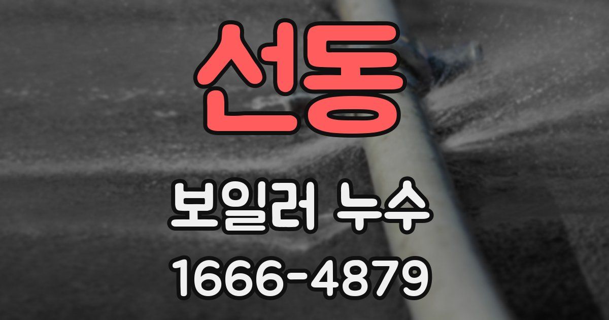 선동 보일러 누수