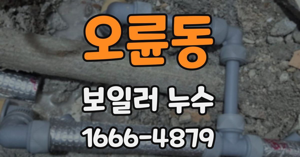 오륜동 보일러 누수