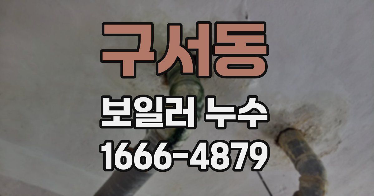 구서동 보일러 누수