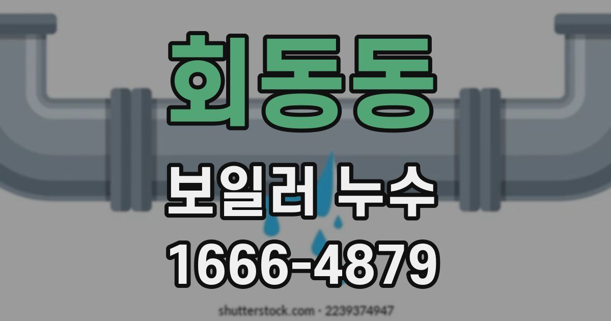 회동동 보일러 누수