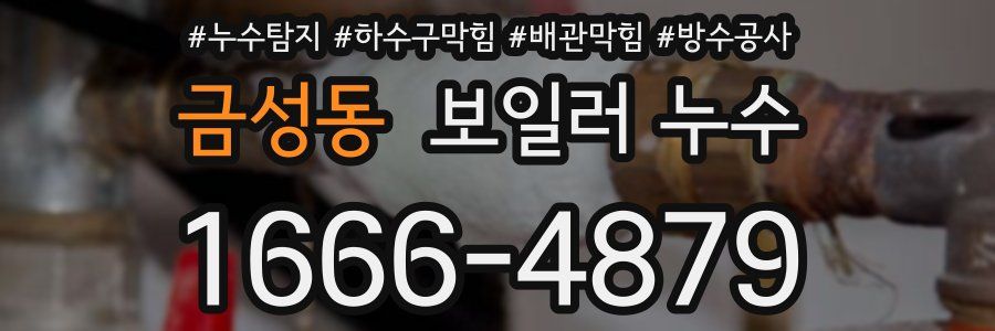 금성동 보일러 누수