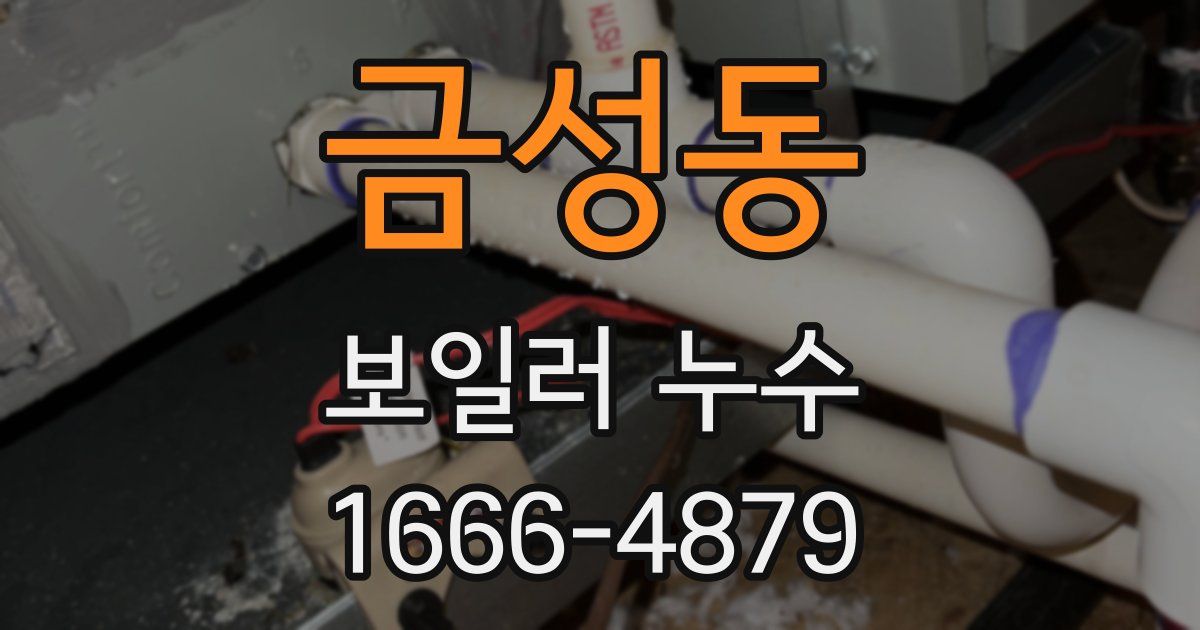 금성동 보일러 누수