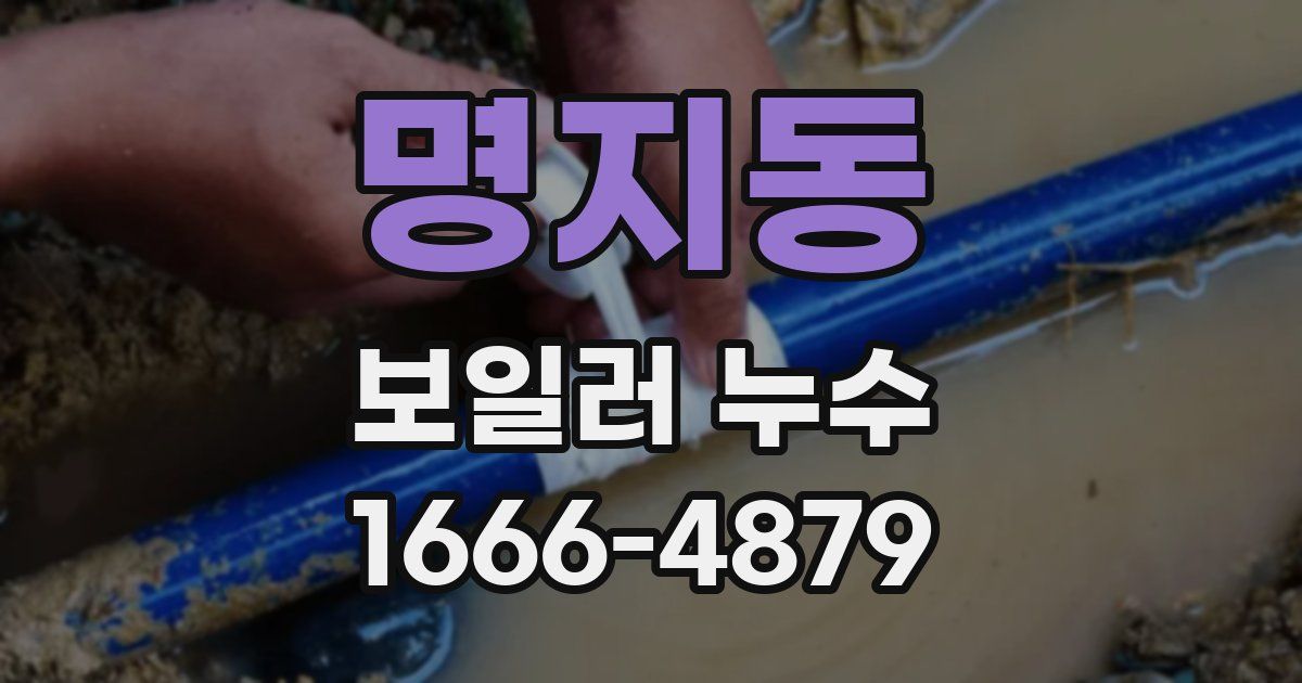 명지동 보일러 누수