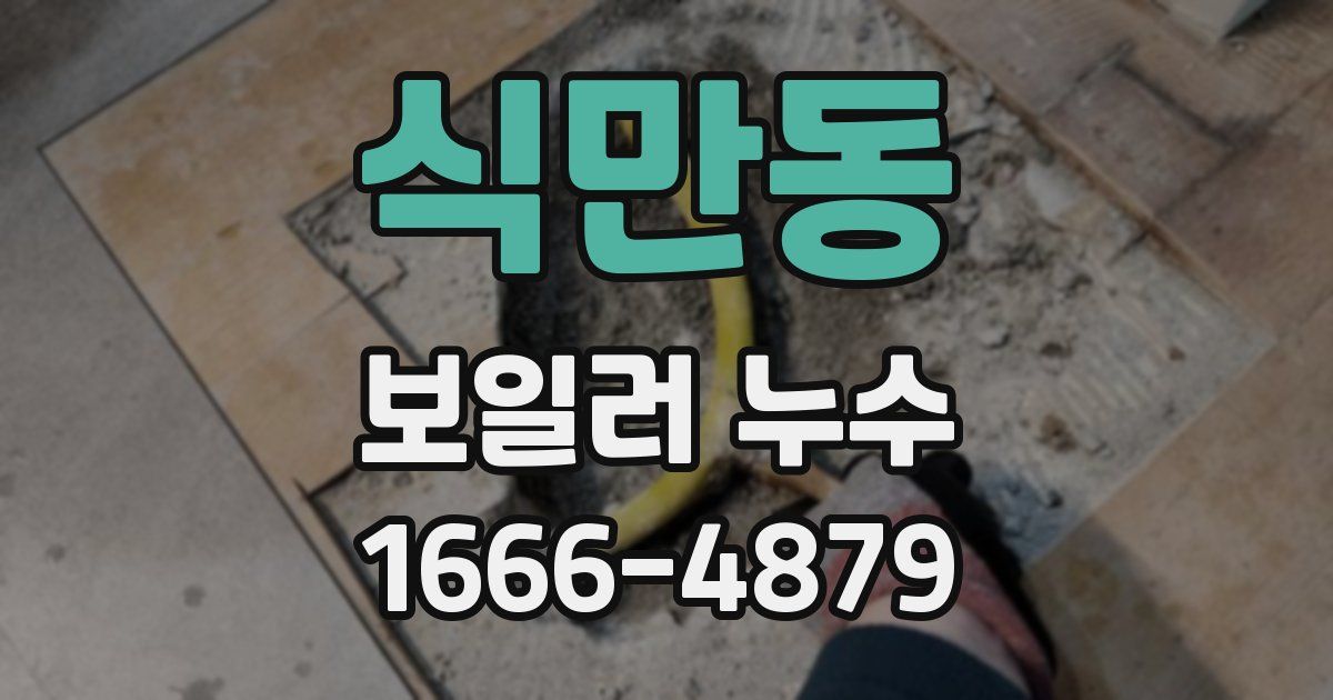 식만동 보일러 누수