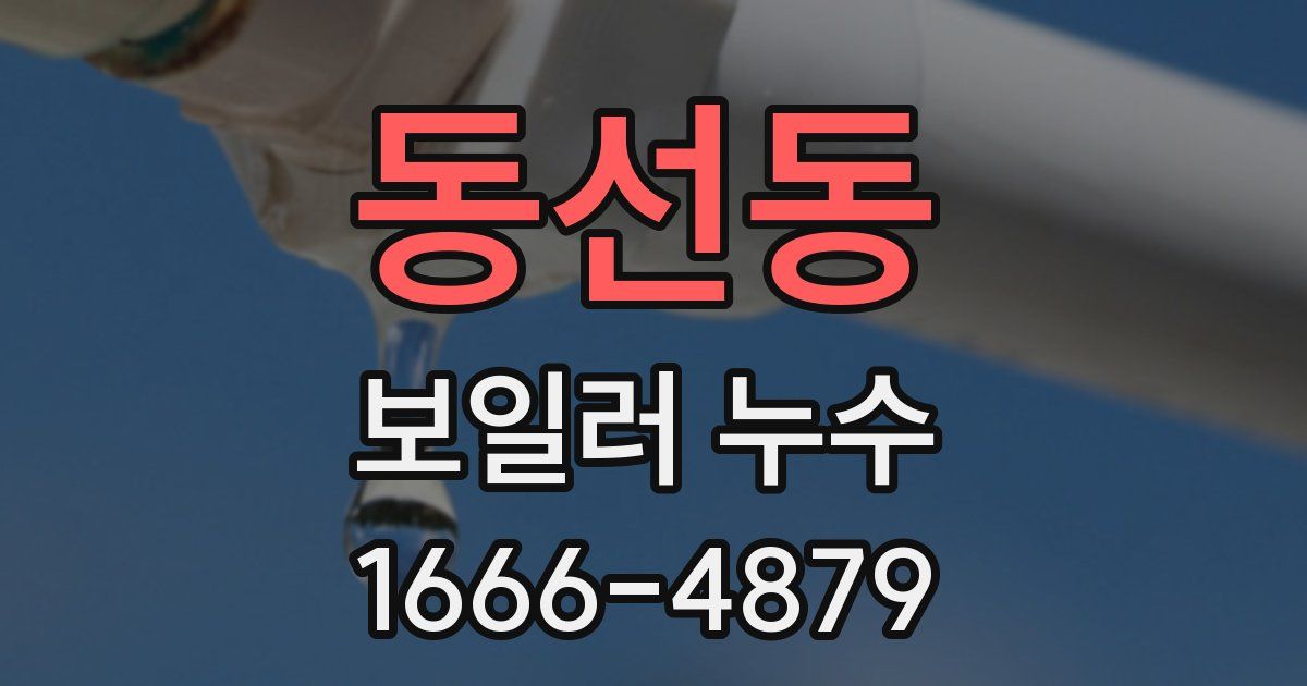 동선동 보일러 누수
