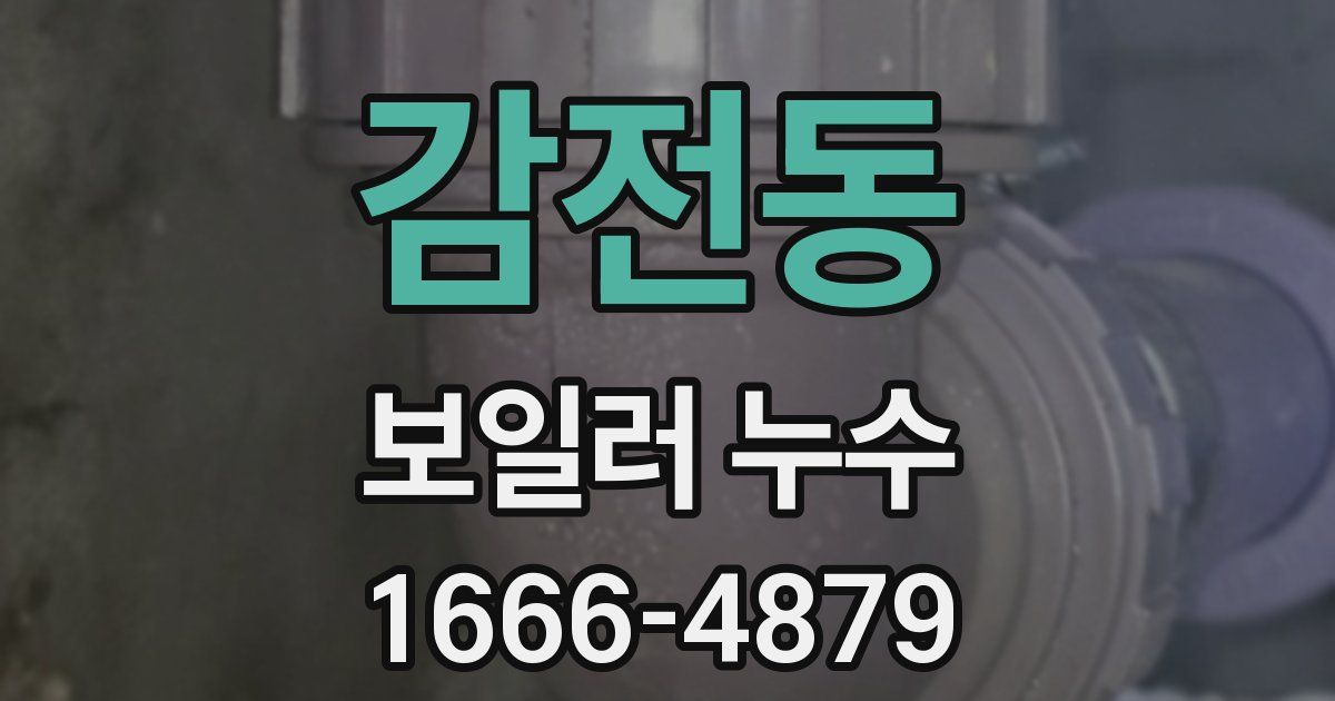 감전동 보일러 누수
