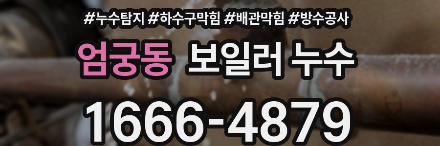 엄궁동 보일러 누수
