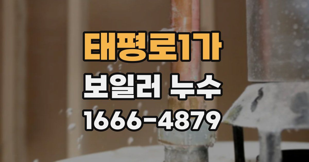 태평로1가 보일러 누수