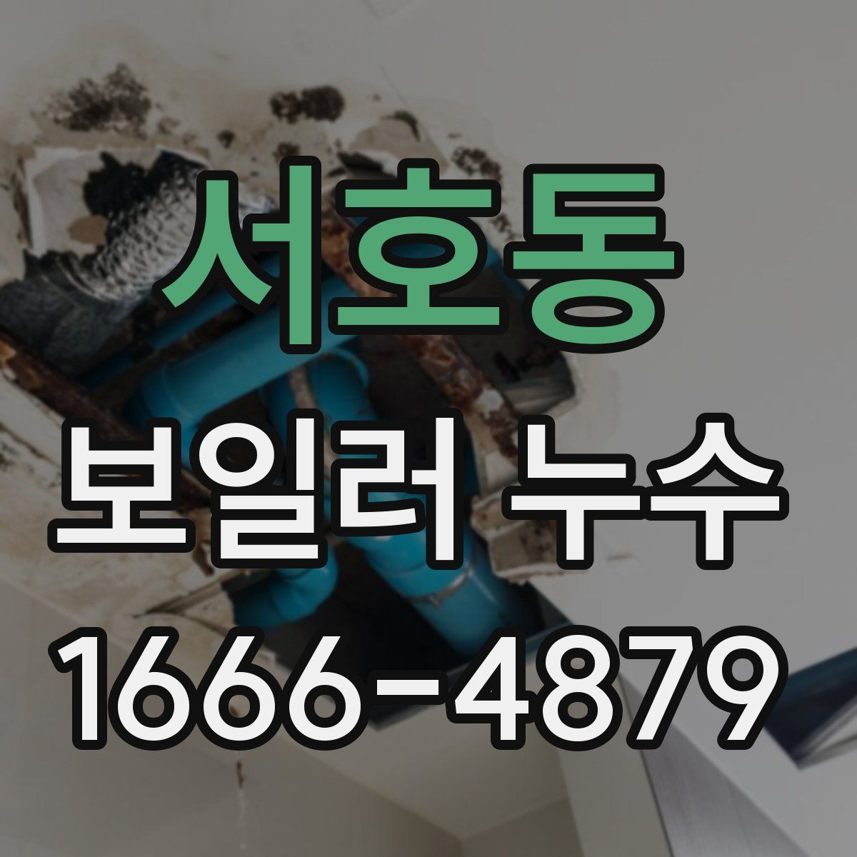 서호동 보일러 누수