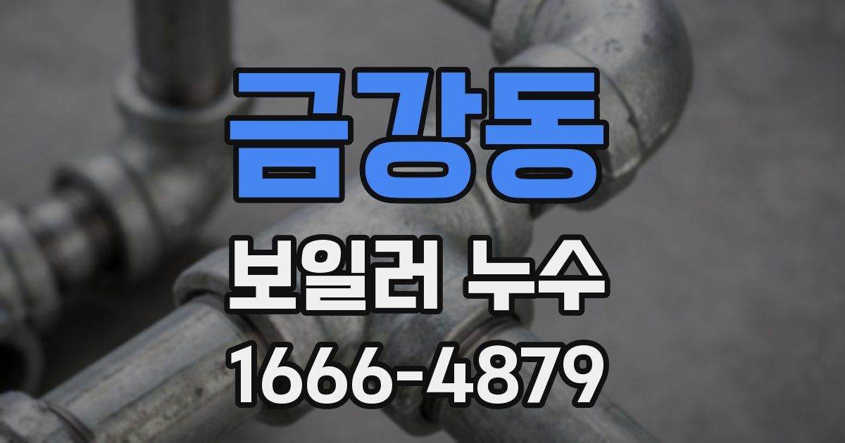 금강동 보일러 누수