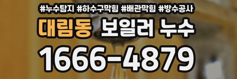 대림동 보일러 누수
