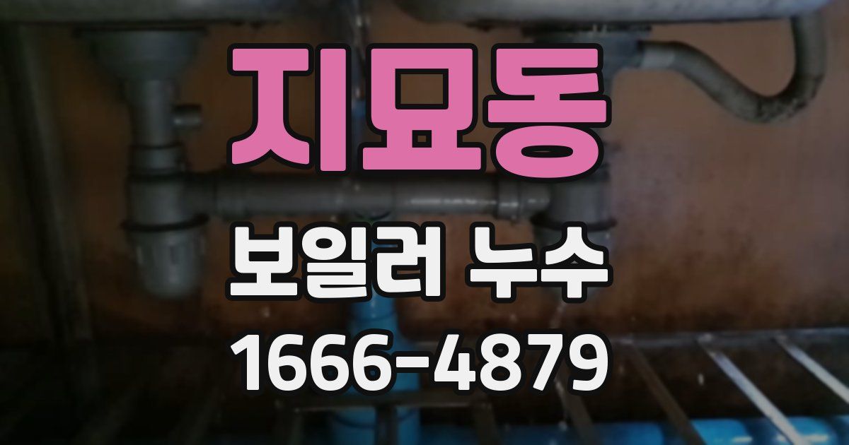 지묘동 보일러 누수