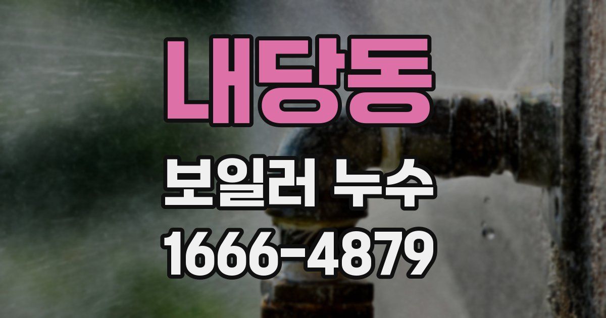 내당동 보일러 누수