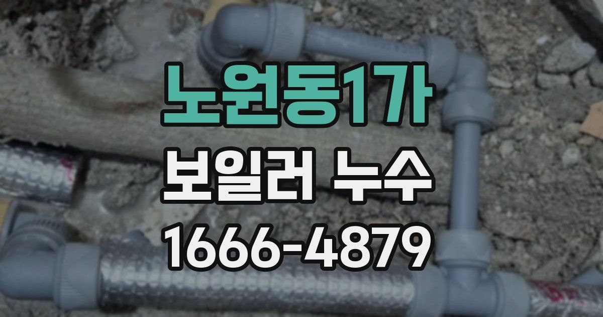 노원동1가 보일러 누수
