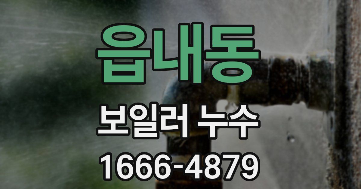 읍내동 보일러 누수