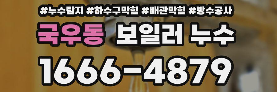 국우동 보일러 누수