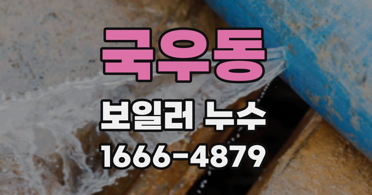 국우동 보일러 누수