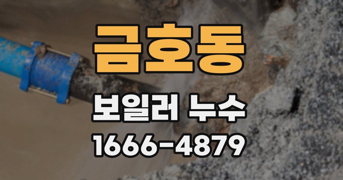금호동 보일러 누수