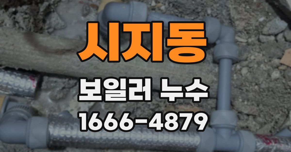 시지동 보일러 누수