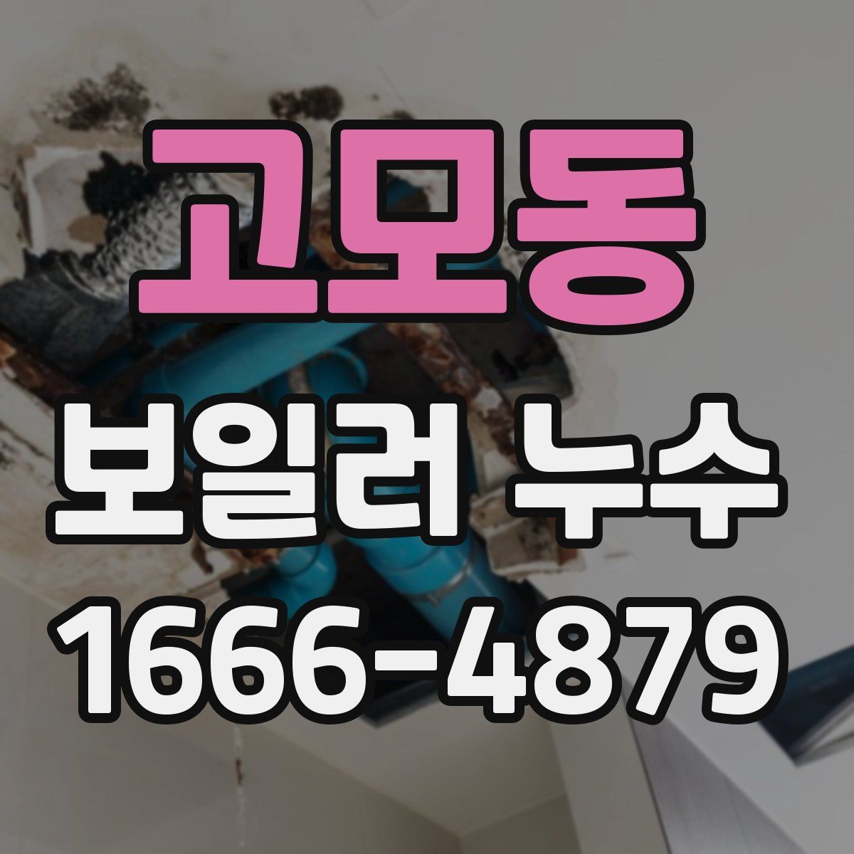 고모동 보일러 누수