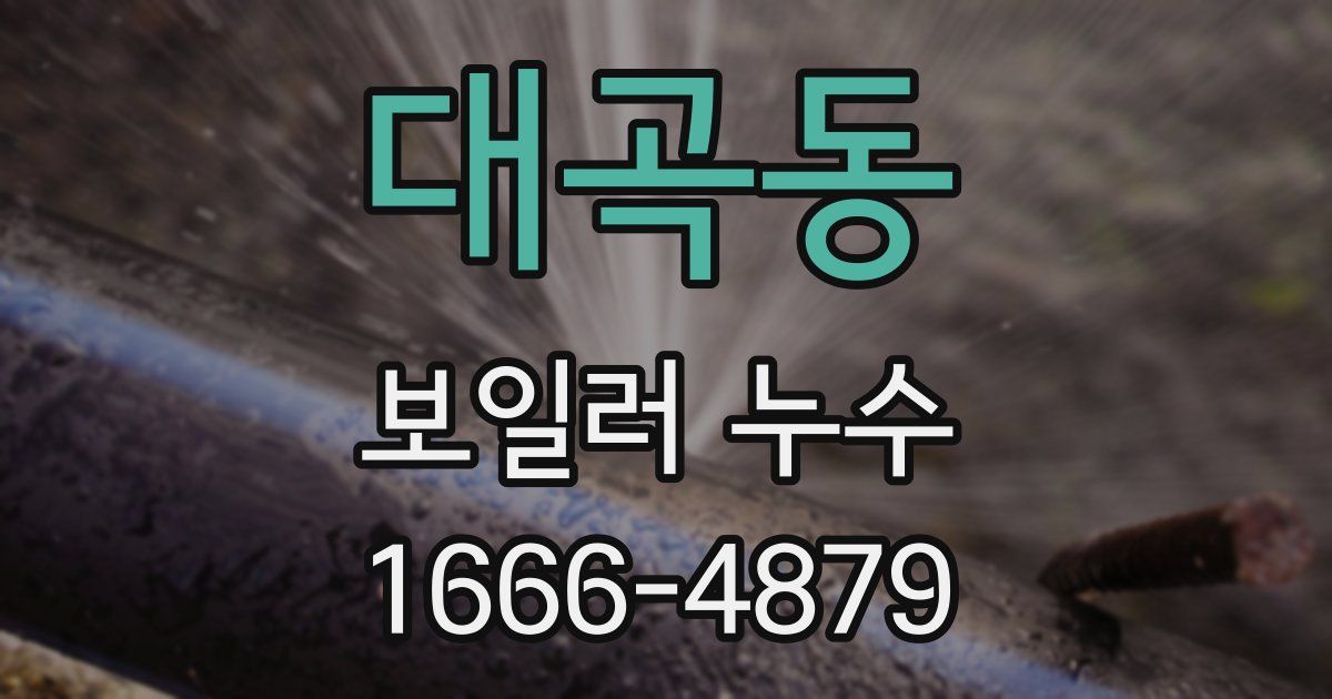 대곡동 보일러 누수