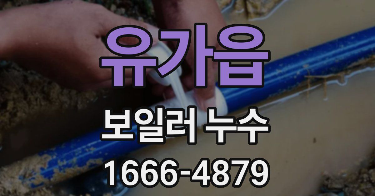 유가읍 보일러 누수
