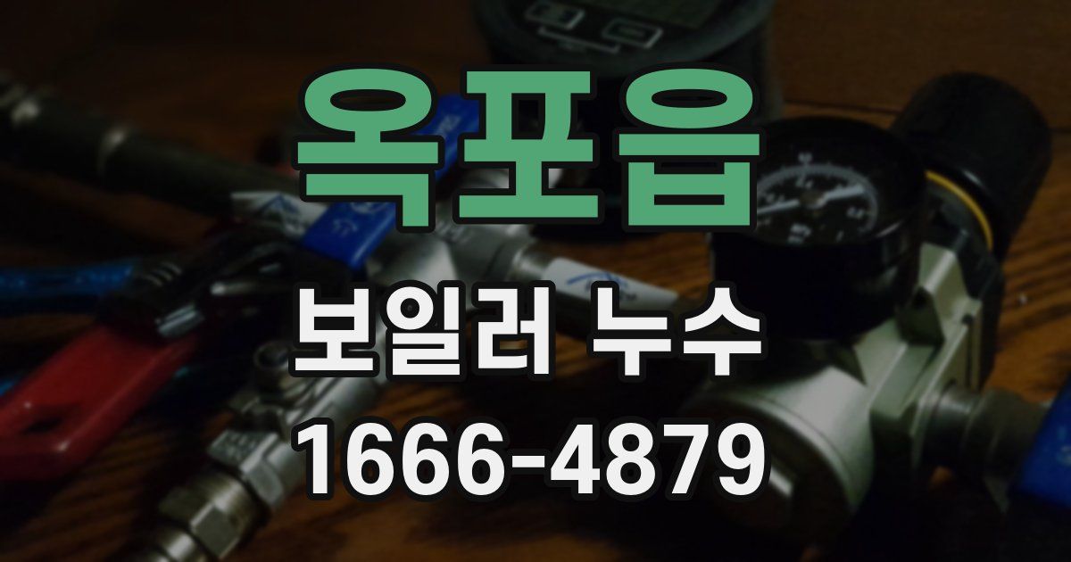 옥포읍 보일러 누수