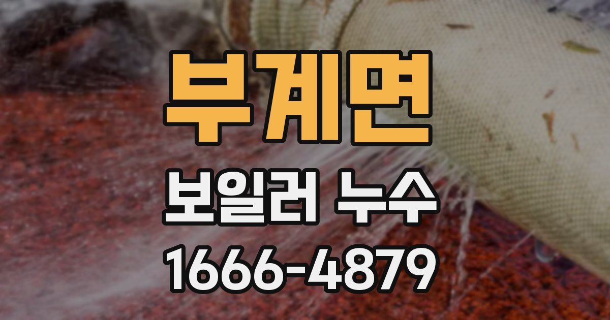 부계면 보일러 누수