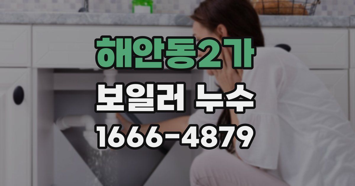 해안동2가 보일러 누수