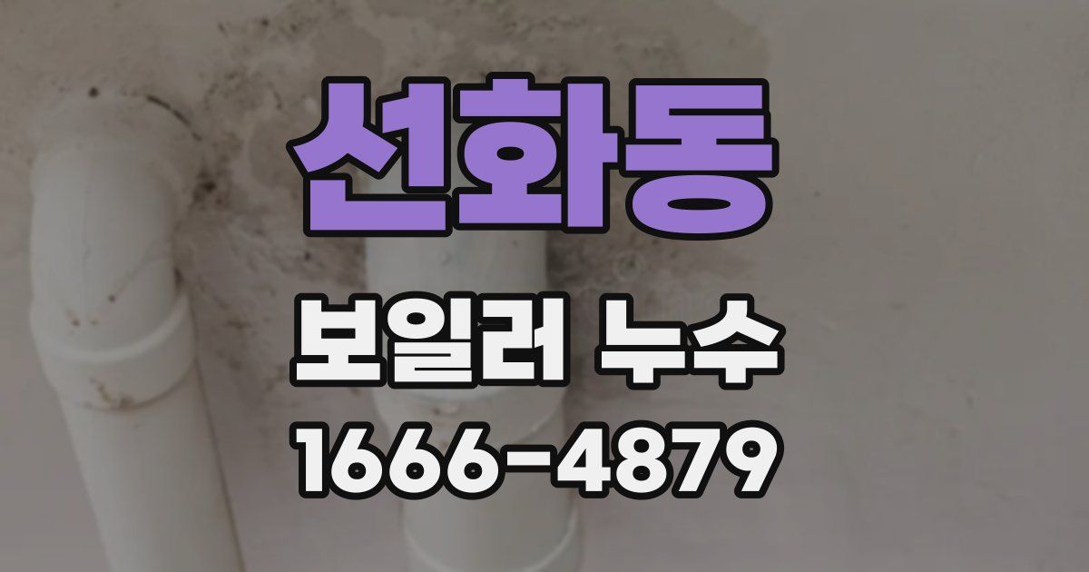 선화동 보일러 누수