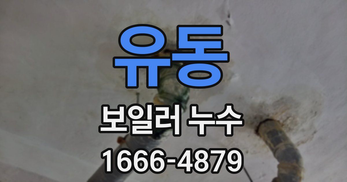 유동 보일러 누수