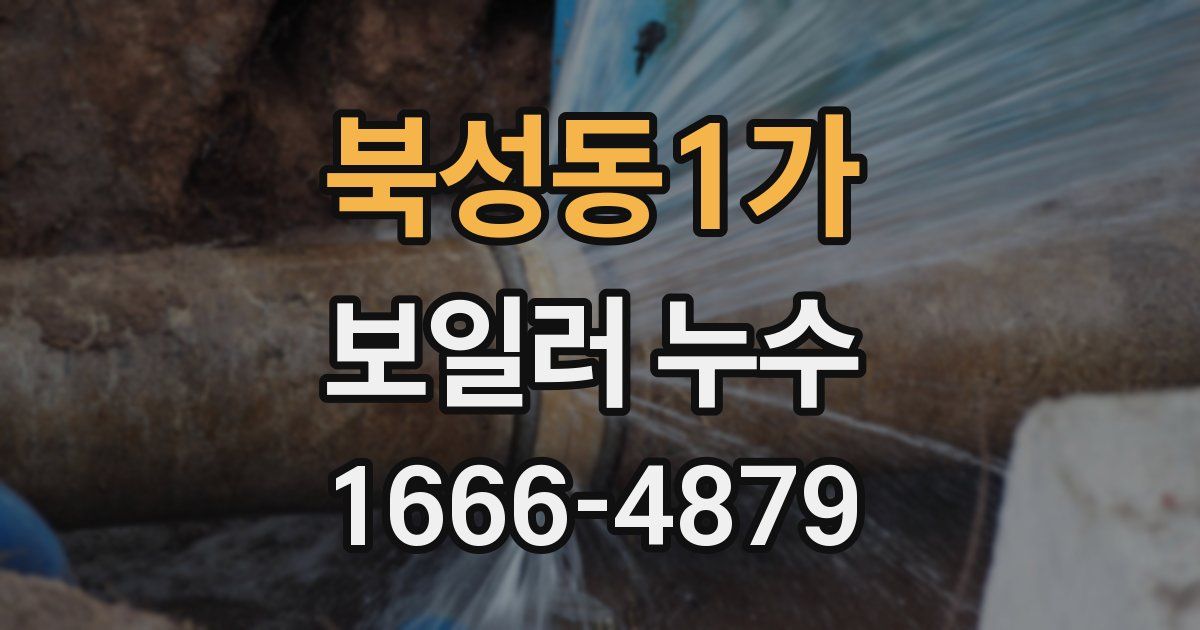 북성동1가 보일러 누수