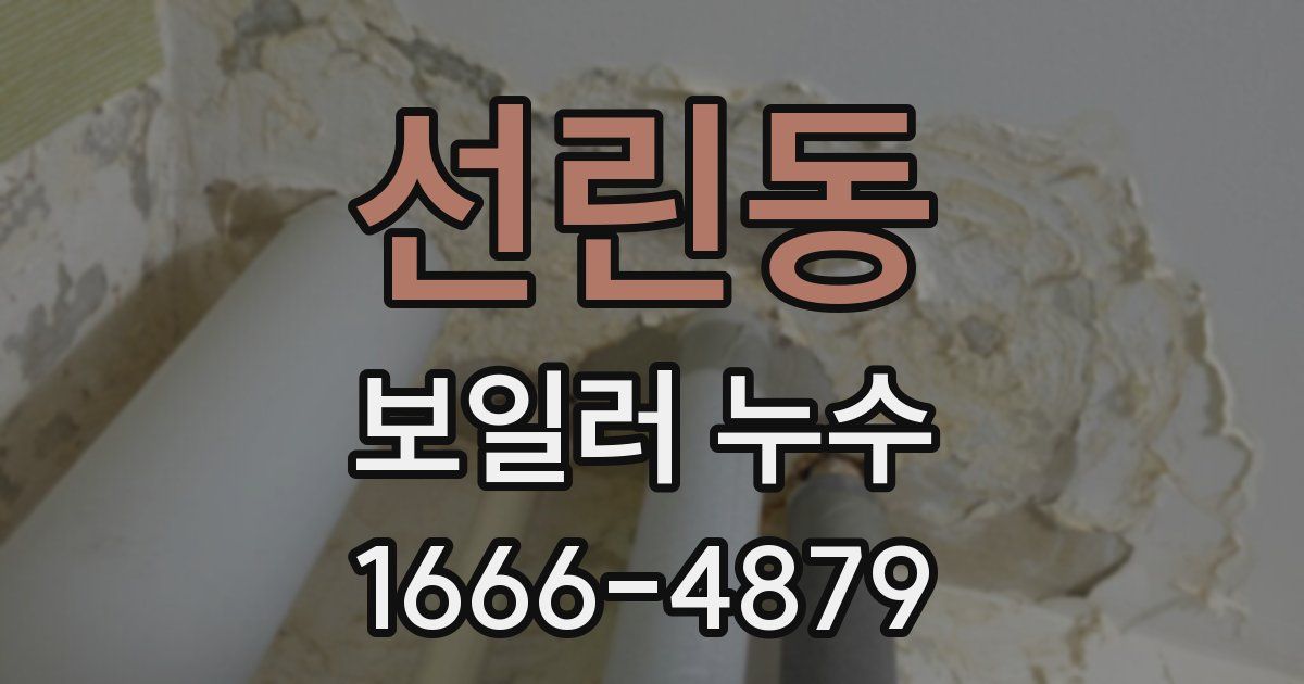 선린동 보일러 누수