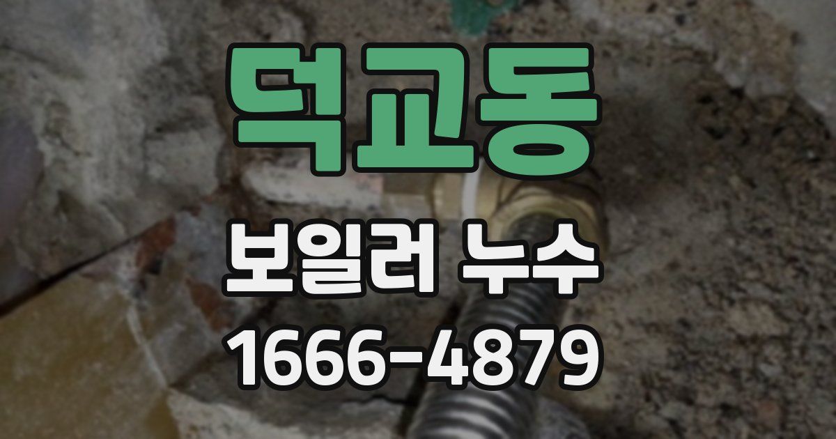덕교동 보일러 누수