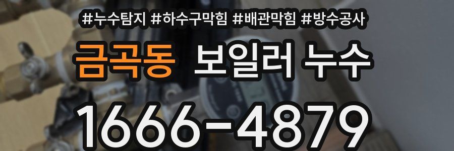 금곡동 보일러 누수