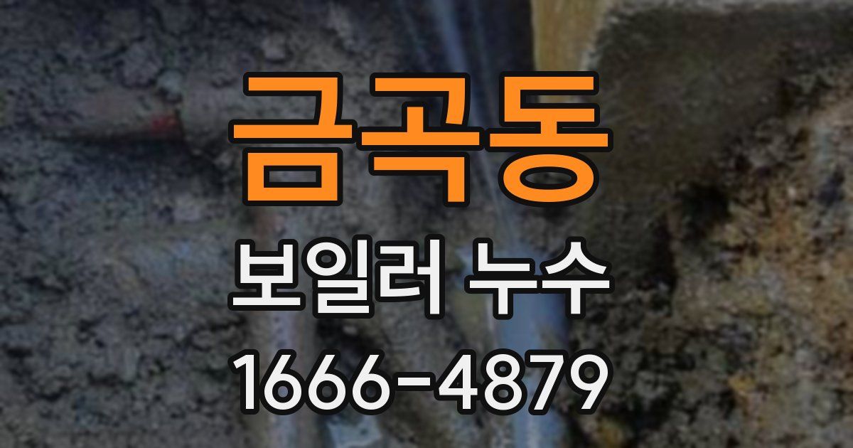 금곡동 보일러 누수