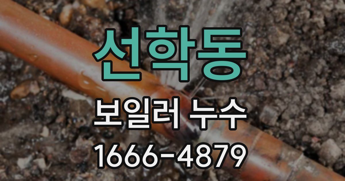 선학동 보일러 누수