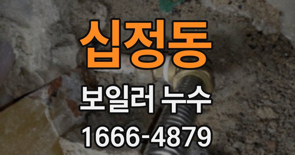 십정동 보일러 누수