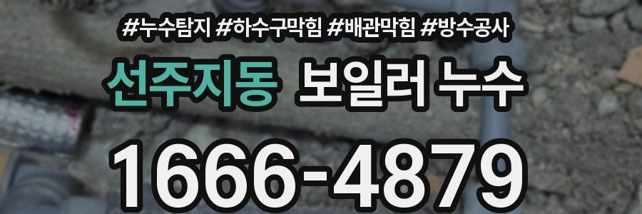 선주지동 보일러 누수