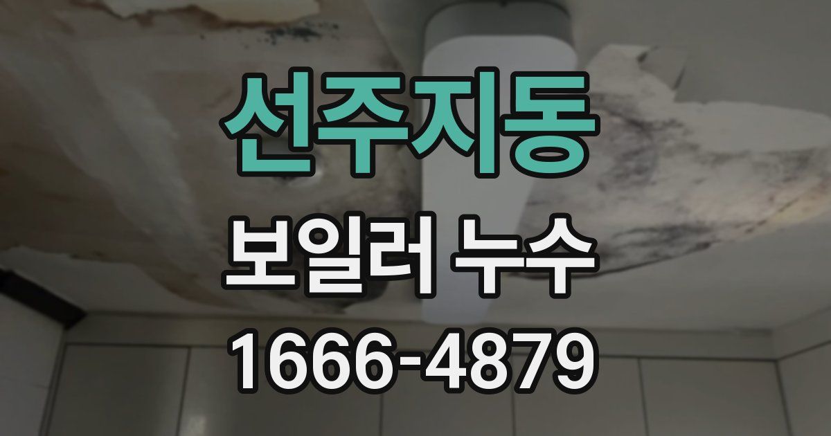 선주지동 보일러 누수