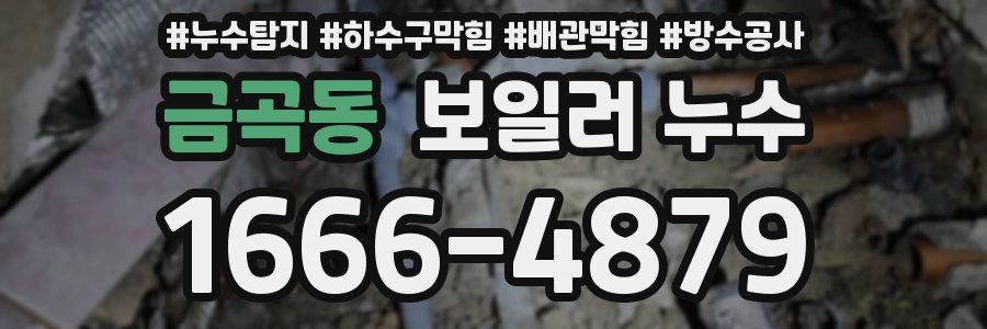 금곡동 보일러 누수