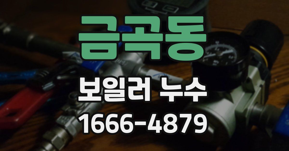 금곡동 보일러 누수