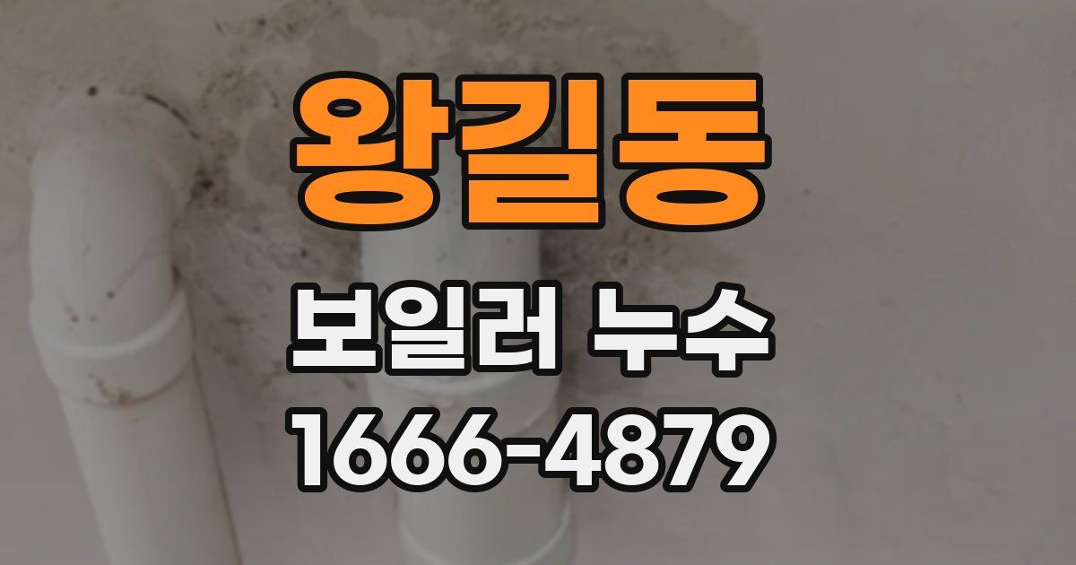 왕길동 보일러 누수