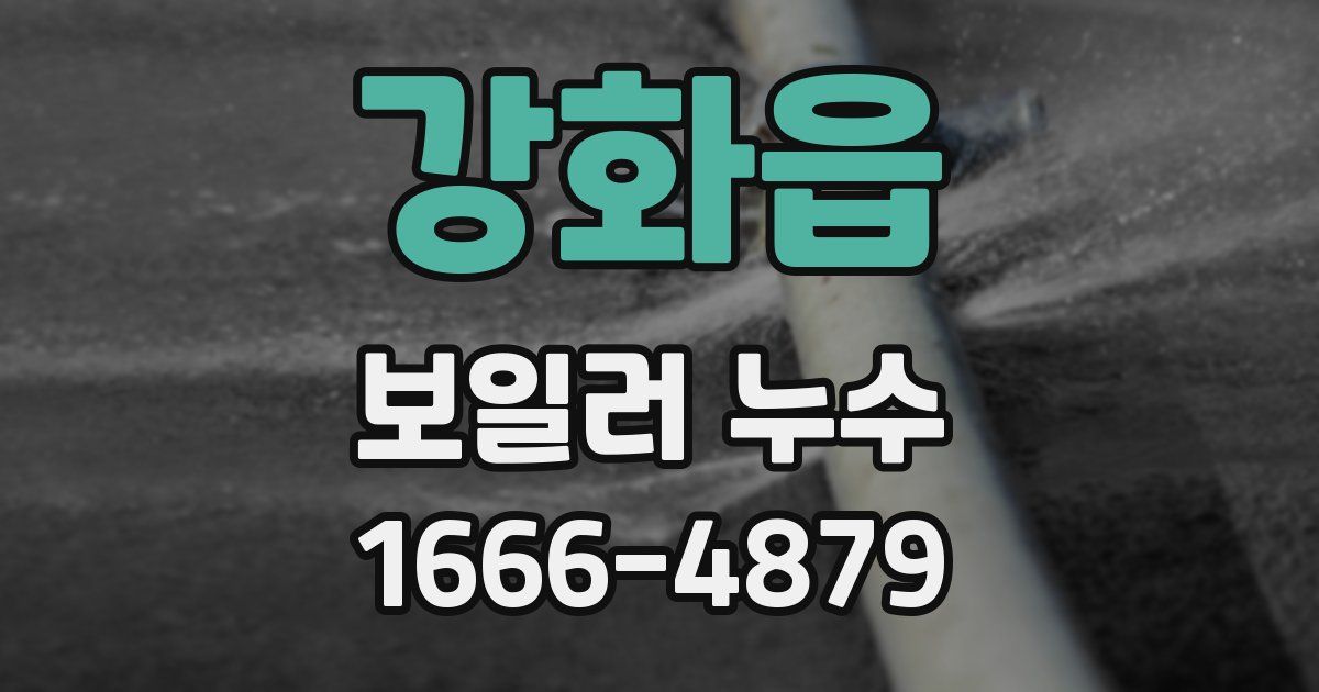 강화읍 보일러 누수