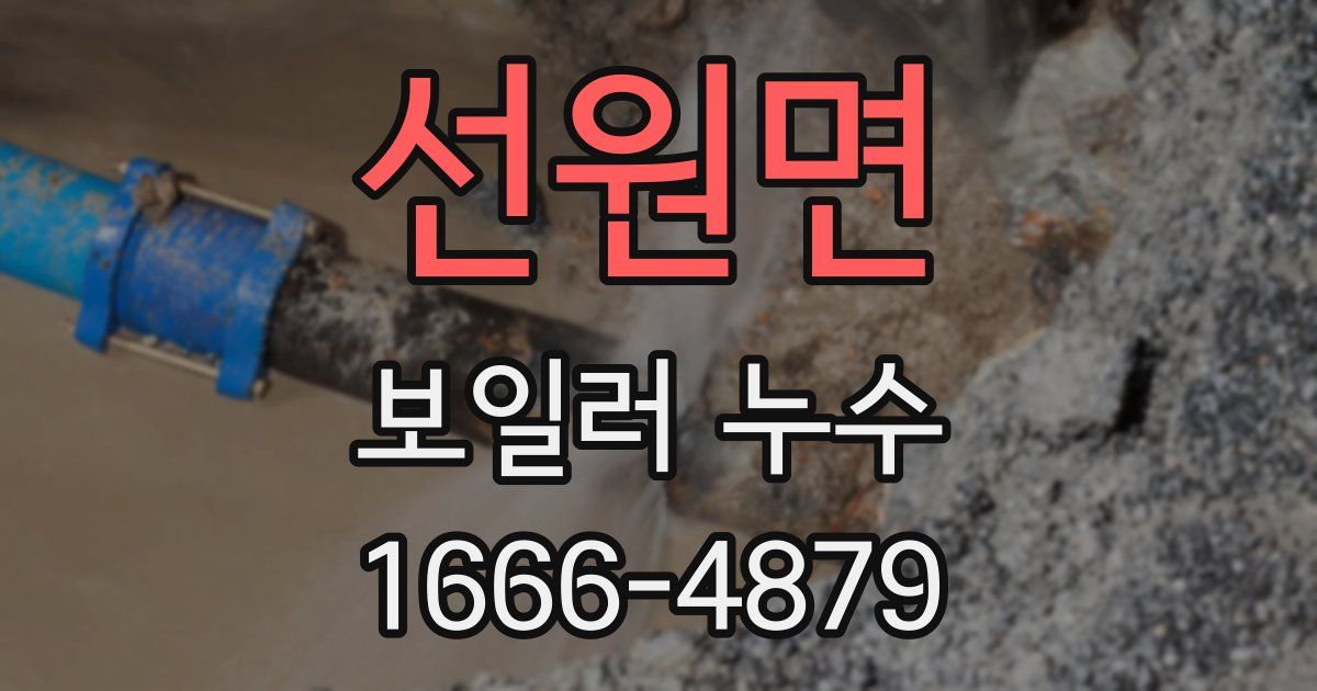 선원면 보일러 누수