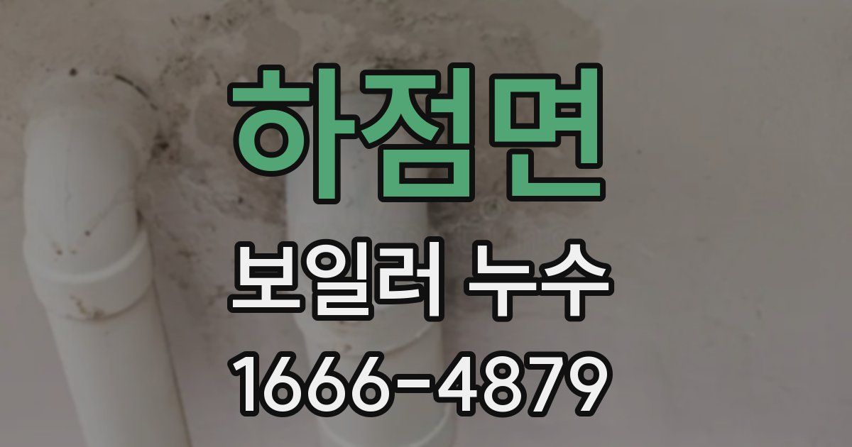 하점면 보일러 누수
