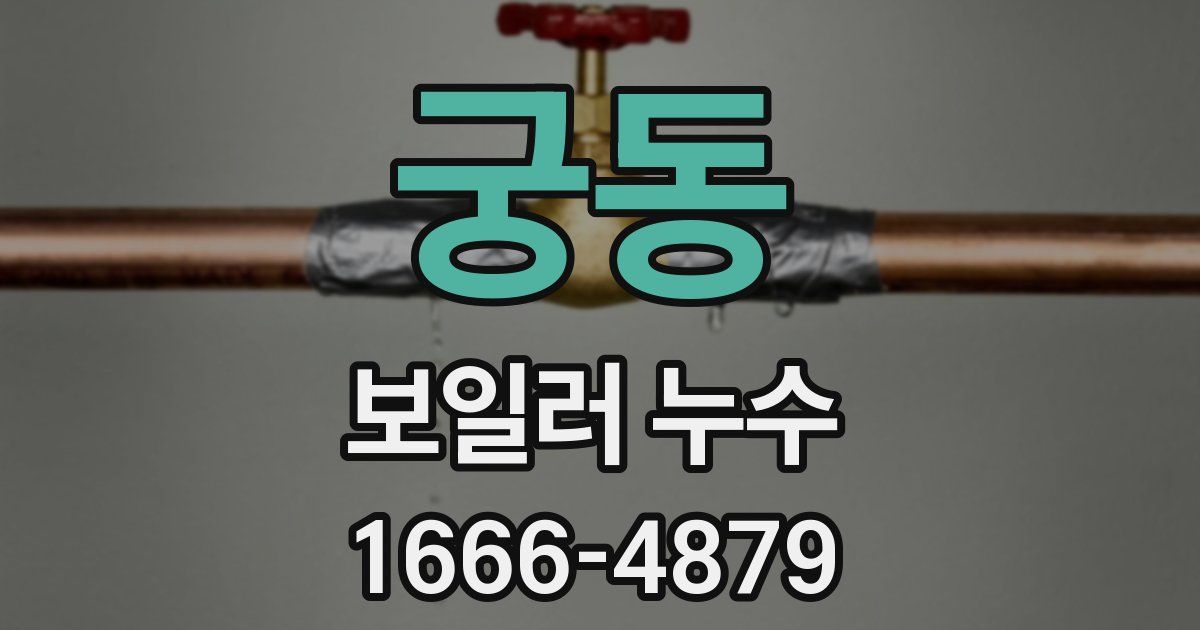 궁동 보일러 누수